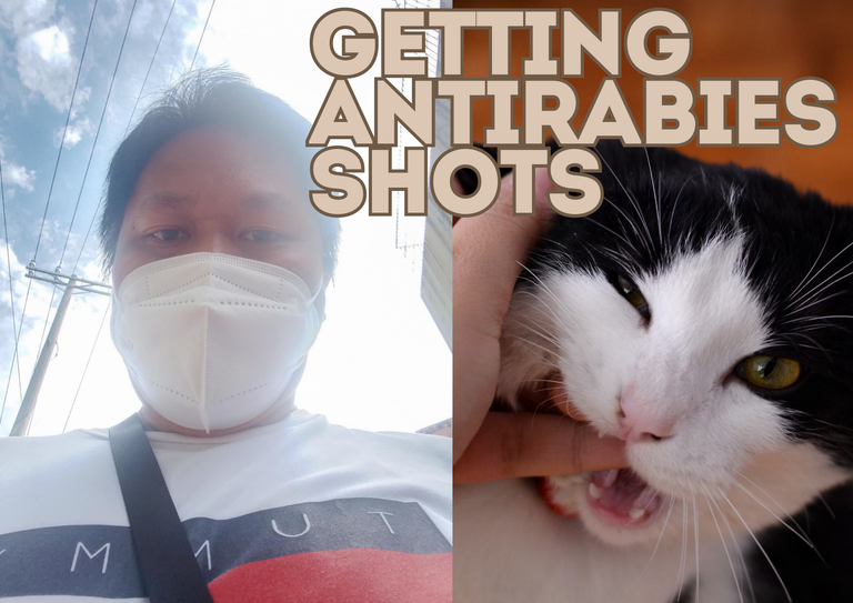 GETTING ANTIRABIES SHOTS.png