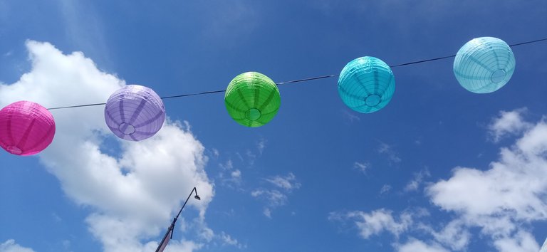 IMG_20241123_133918.jpg