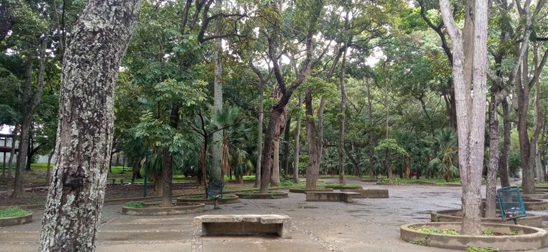 IMG_20240629_144908.jpg