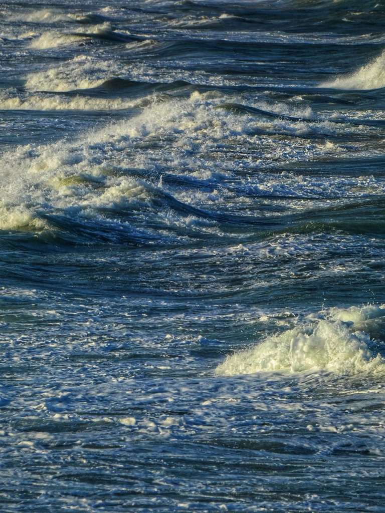 1000091684.jpg