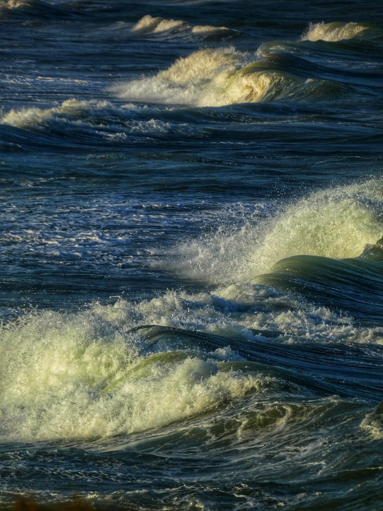 1000091695.jpg