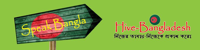 HiveBangladesh Banner.jpg
