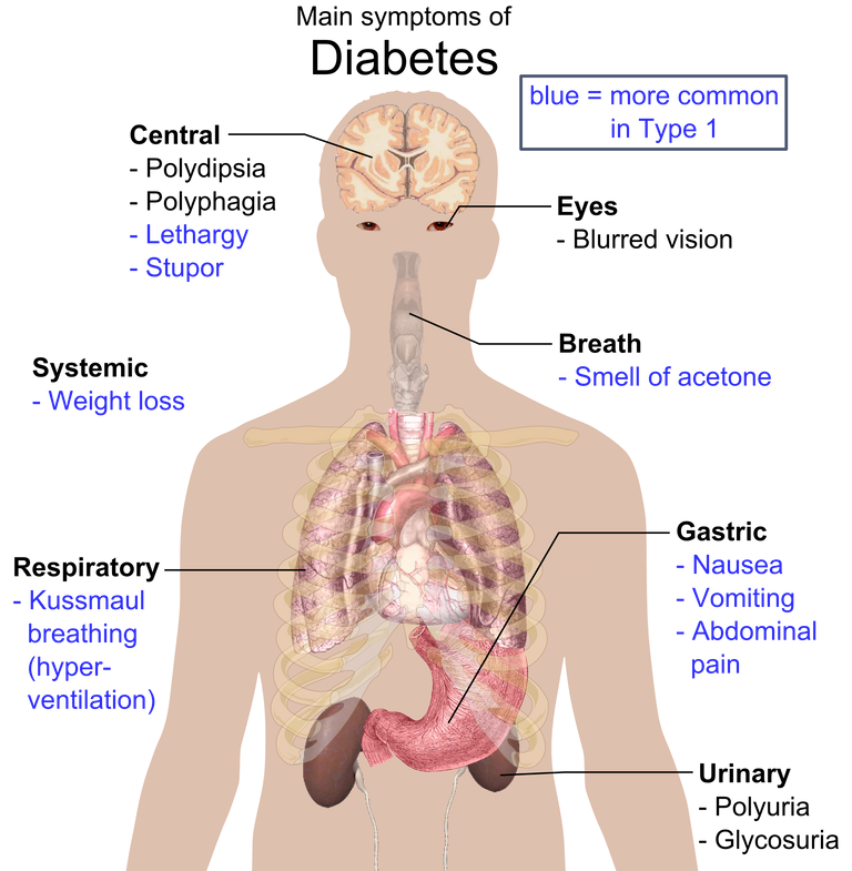 Main_symptoms_of_diabetes (1).png