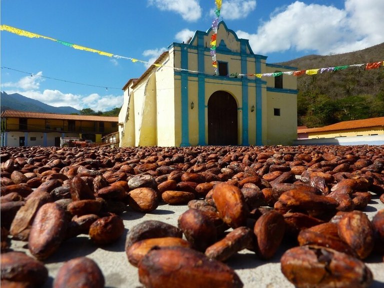 Semillas-de-cacao-ante-la-iglesia-de-Chuao.jpg