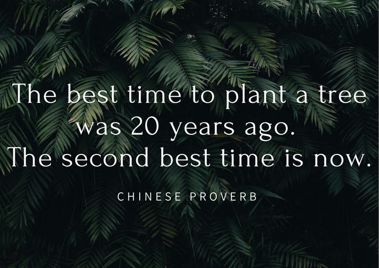 The best time to plant a tree was 20 years ago. The second best time is now..png