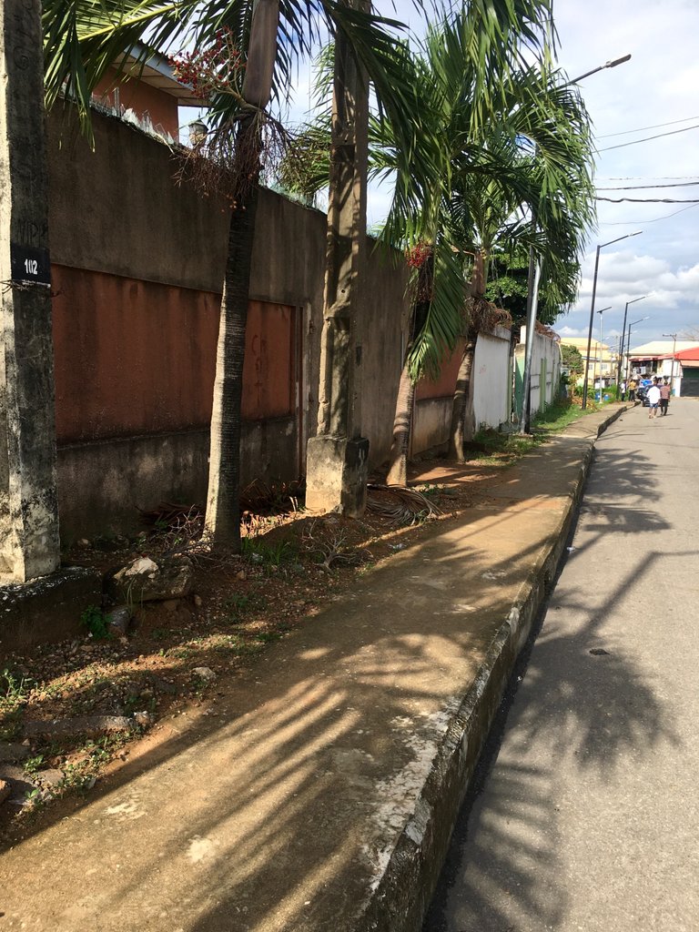 F95DF33A-B099-4BF0-B6F9-82C6E0EED0F4.jpeg