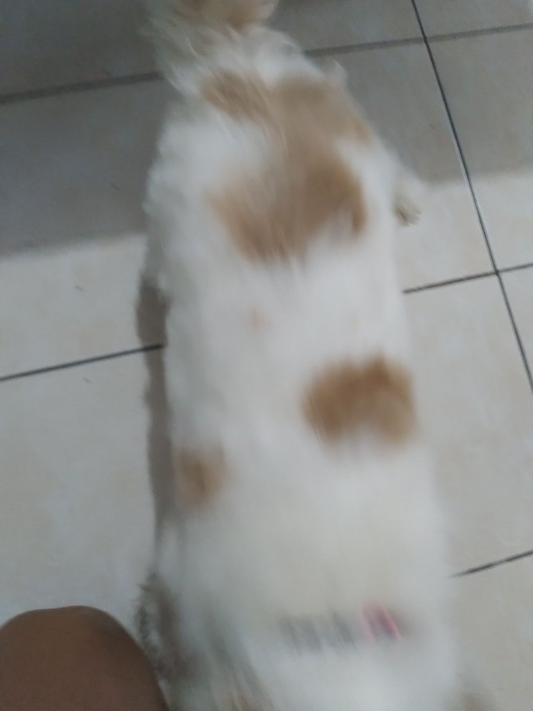 20230326_074020.jpg