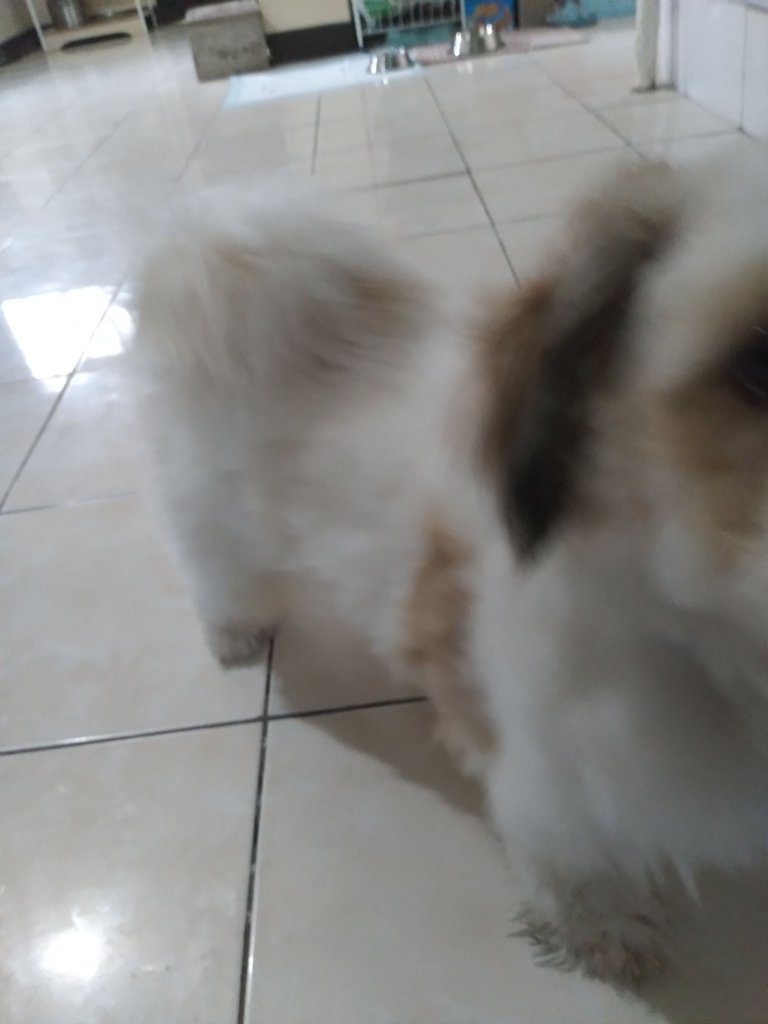 20230326_074025.jpg