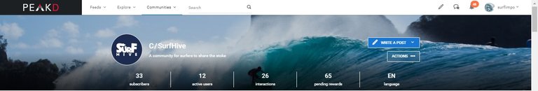 printscreen surfhive community.jpg