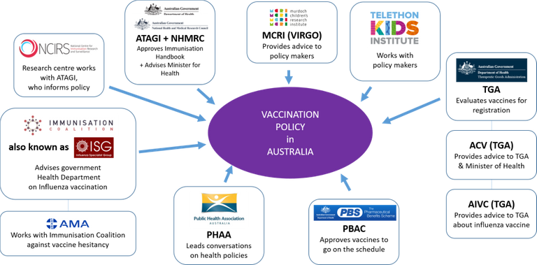 vaccination-policy-in-au.png