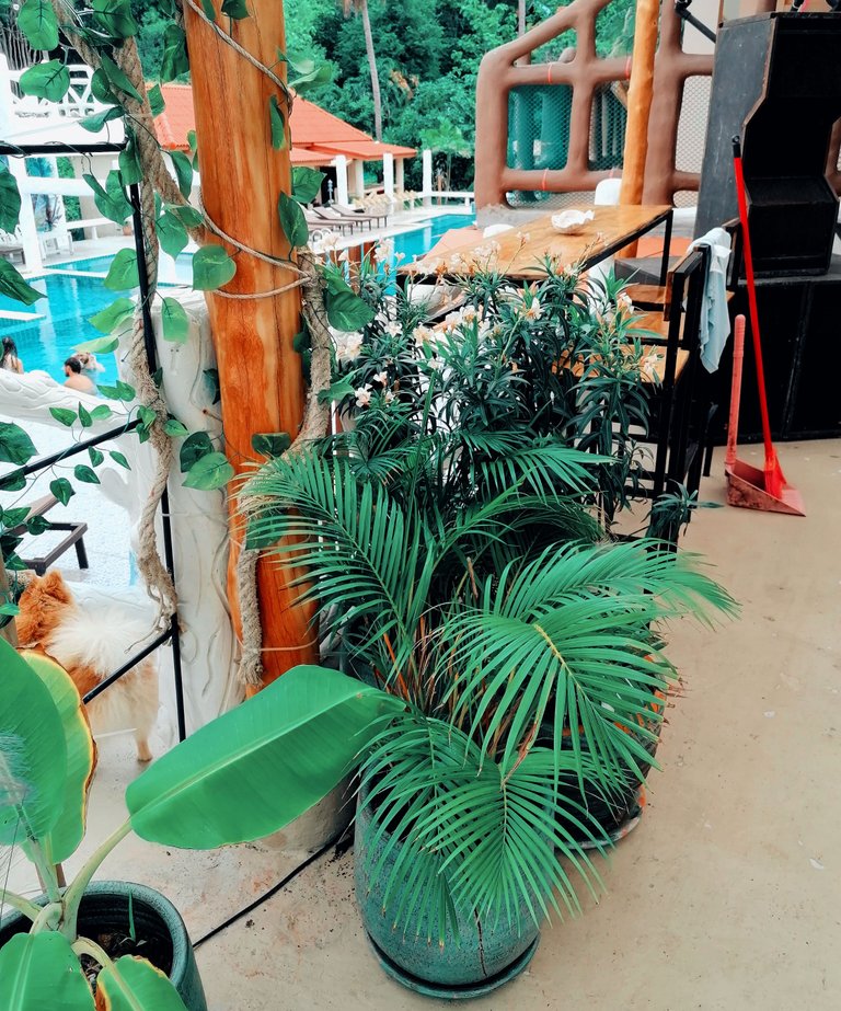 Hippie Market 65.jpg