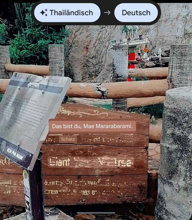400 years old tree walk translate german 2.jpg