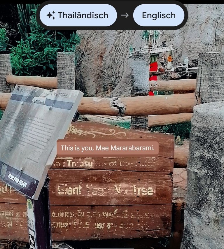 400 years old tree walk translate English 2.jpg