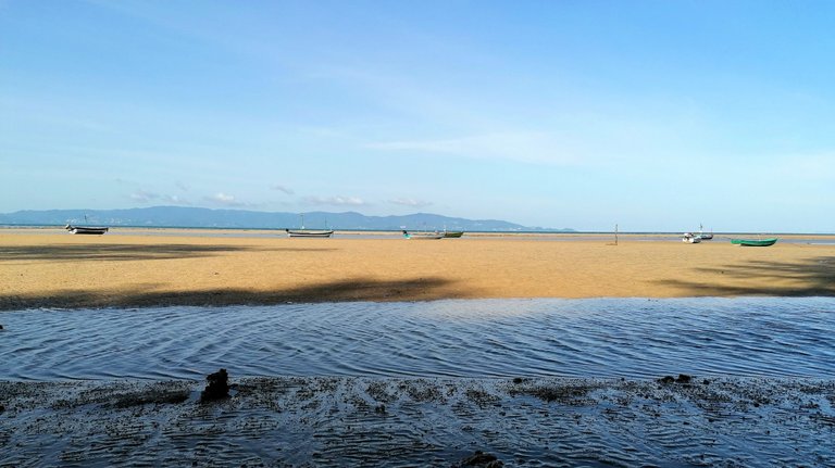08062024 7.jpg