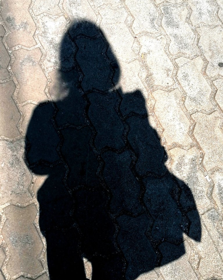 my shadow 1.jpg