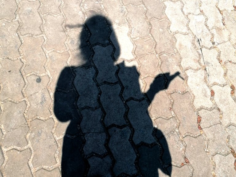 my shadow 2.jpg