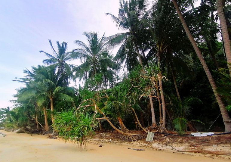 oxa beach party area koh phangan 3.jpg
