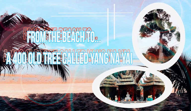thumbnail yang na tree.jpg