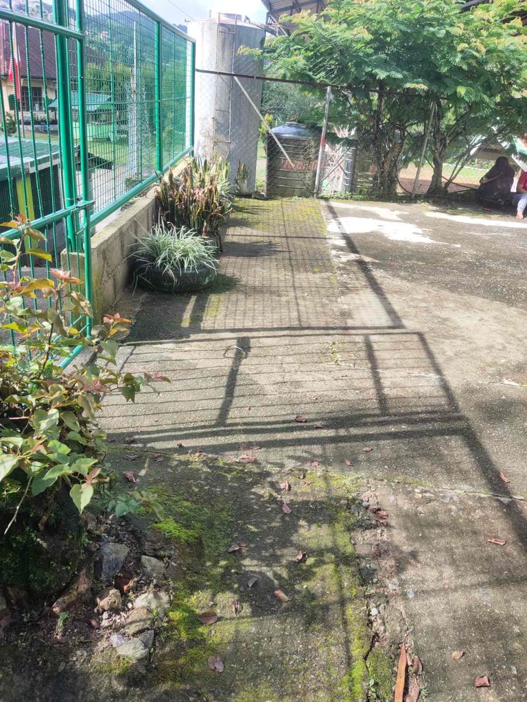 viber_image_2025-07-03_07-14-42-452.jpg