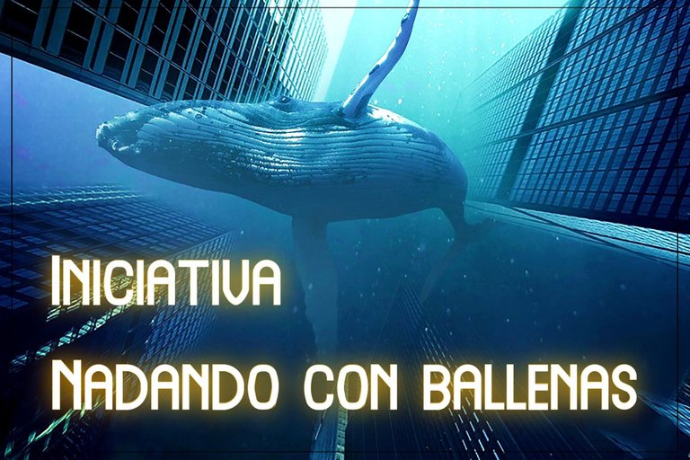 whale-4474187_ballenas.jpg