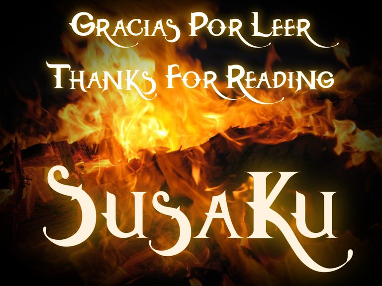 afire-Banner despedida Susaku.jpg