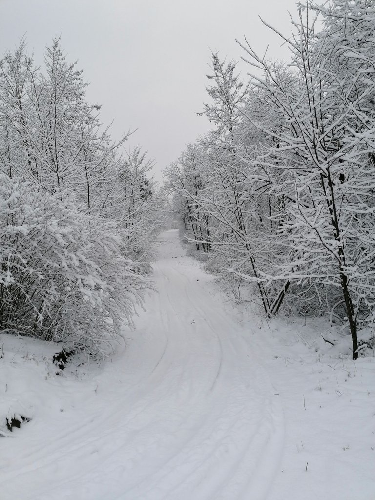 IMG_20220109_140249.jpg
