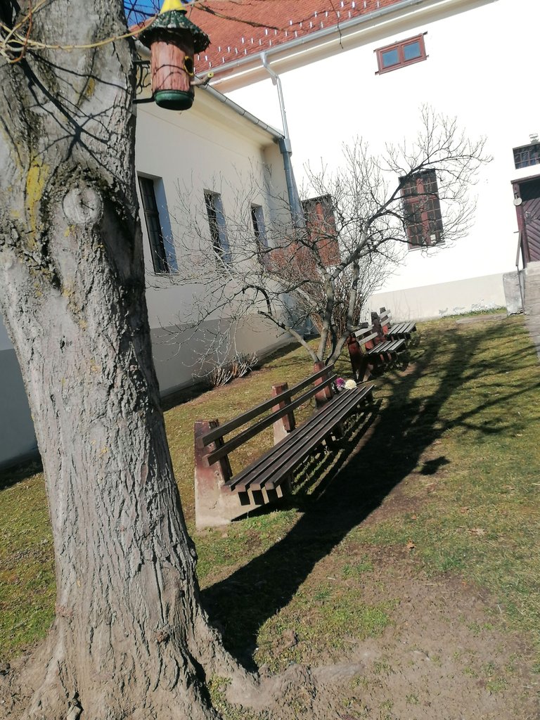 IMG_20250225_100522.jpg