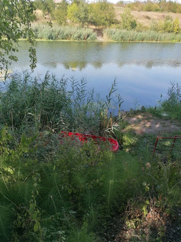 IMG_20240825_153857.jpg