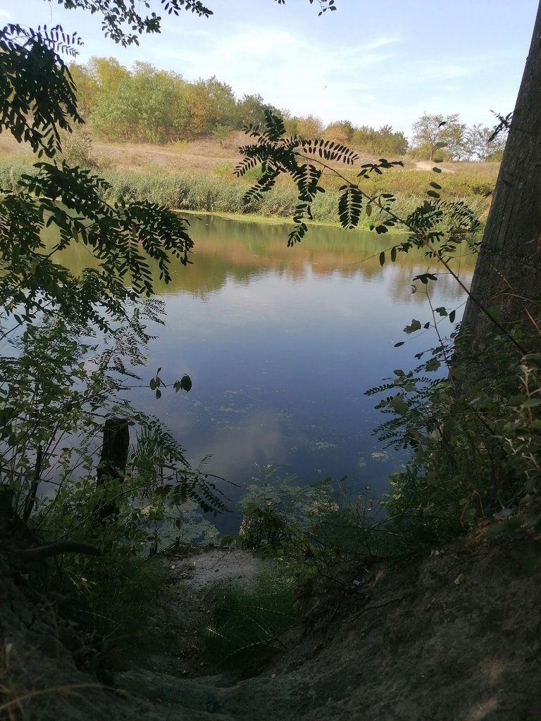 IMG_20240825_153708.jpg