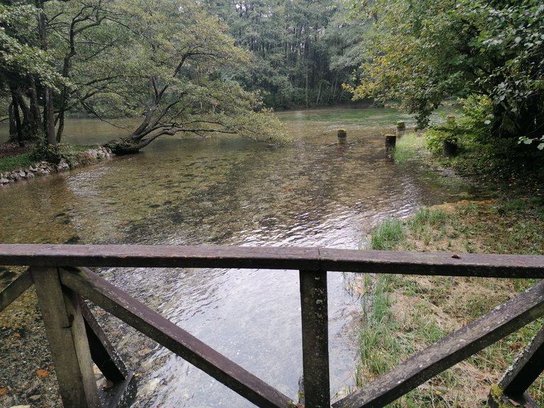 IMG_20221002_094431.jpg