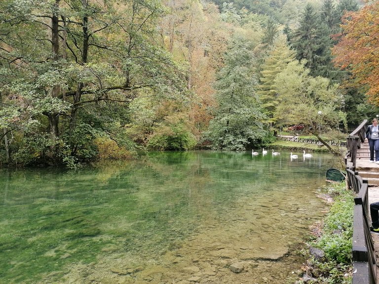 IMG_20221002_100107.jpg