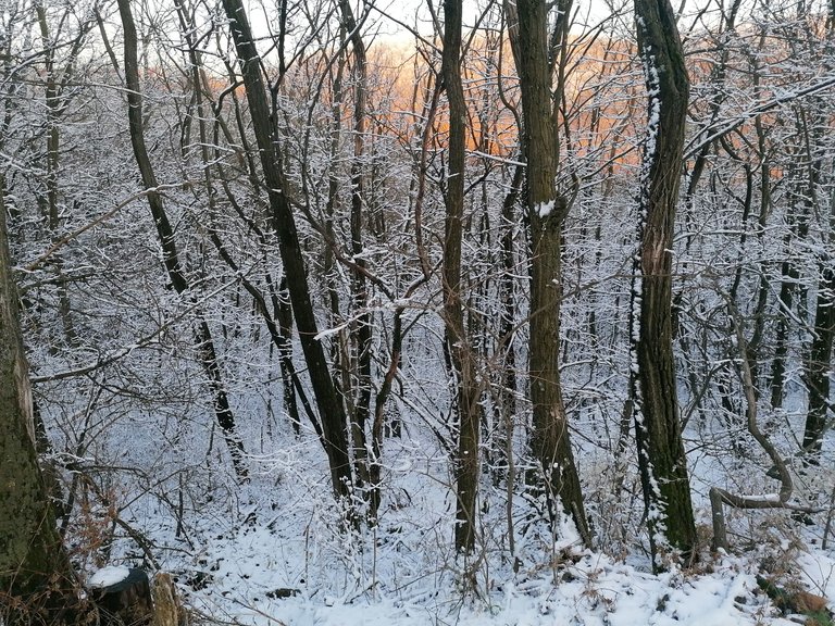 IMG_20240120_160057.jpg