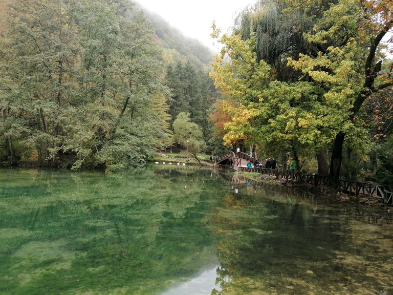 IMG_20221002_100022.jpg