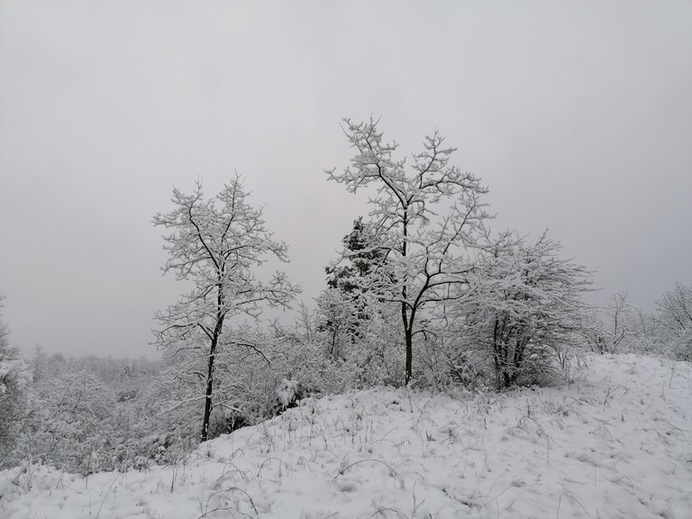 IMG_20220109_141759.jpg