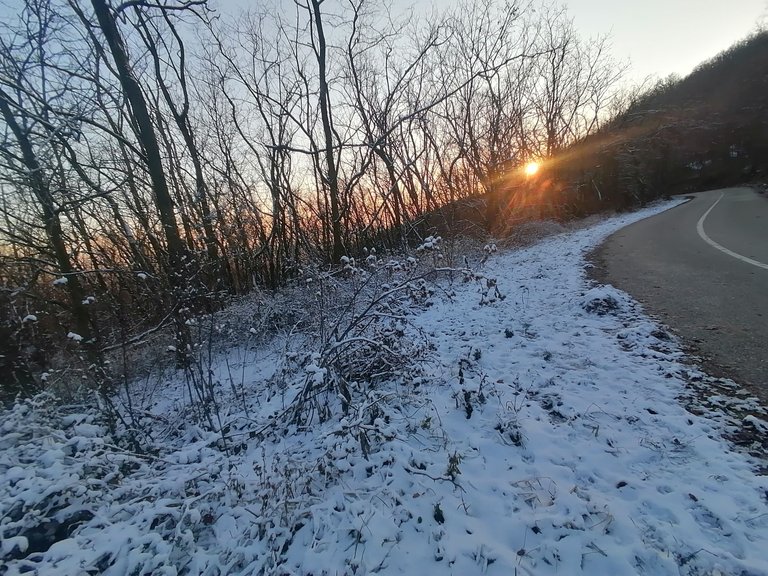 IMG_20240120_155935.jpg