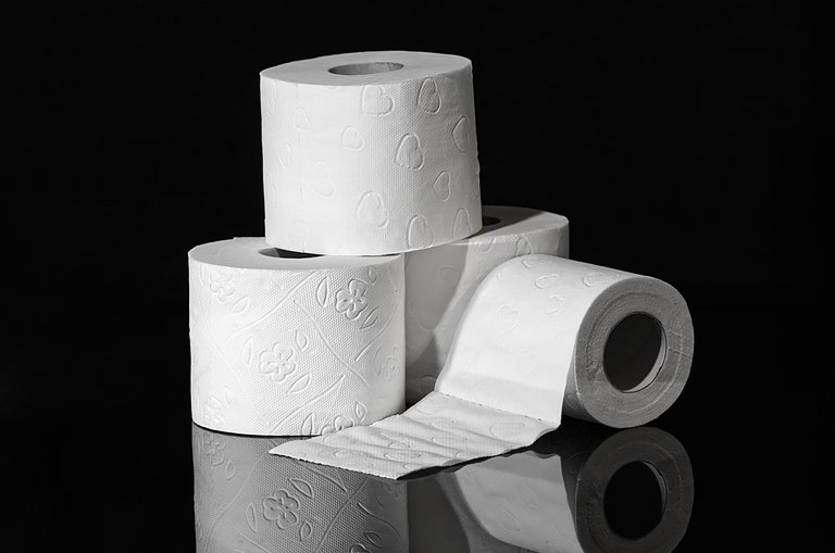 toilet-paper-3964492_1280.jpg