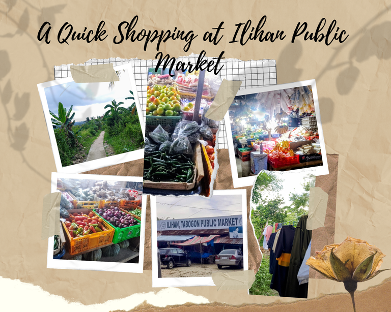 A Quick Shopping at Ilihan Public Market_20240909_141717_0000.png