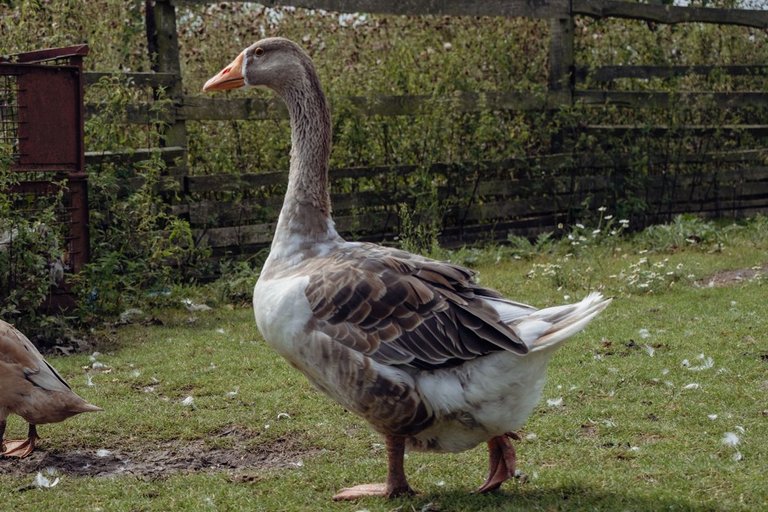 DSCF1025.jpg