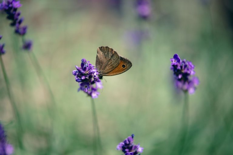 DSCF7574.jpg