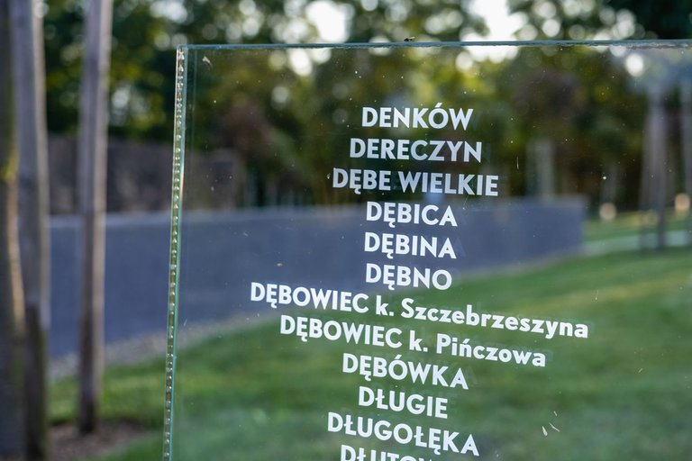 DSCF1461.jpg
