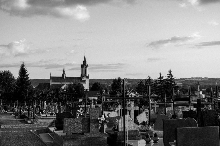 DSCF1520.jpg