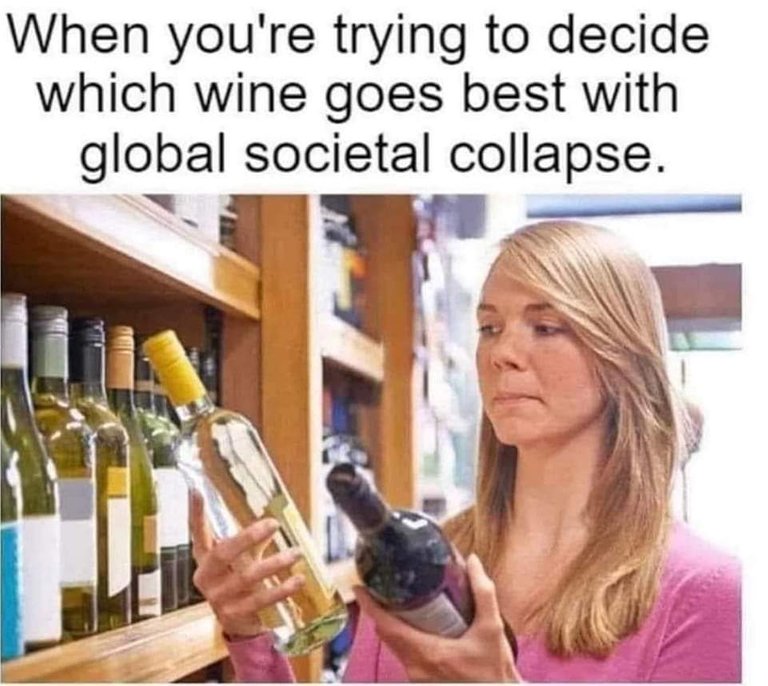 wine_choice_meme.jpeg