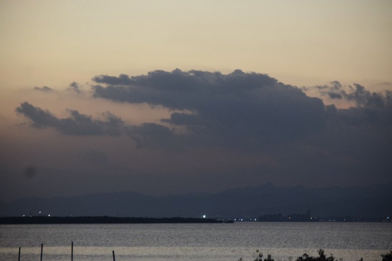 f2d4646a-ab40-46ef-be3f-69caaa955f51.jpg
