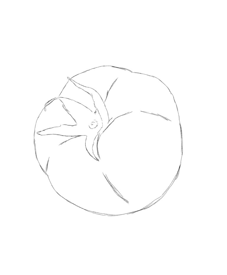 sketch1760355808597.jpeg
