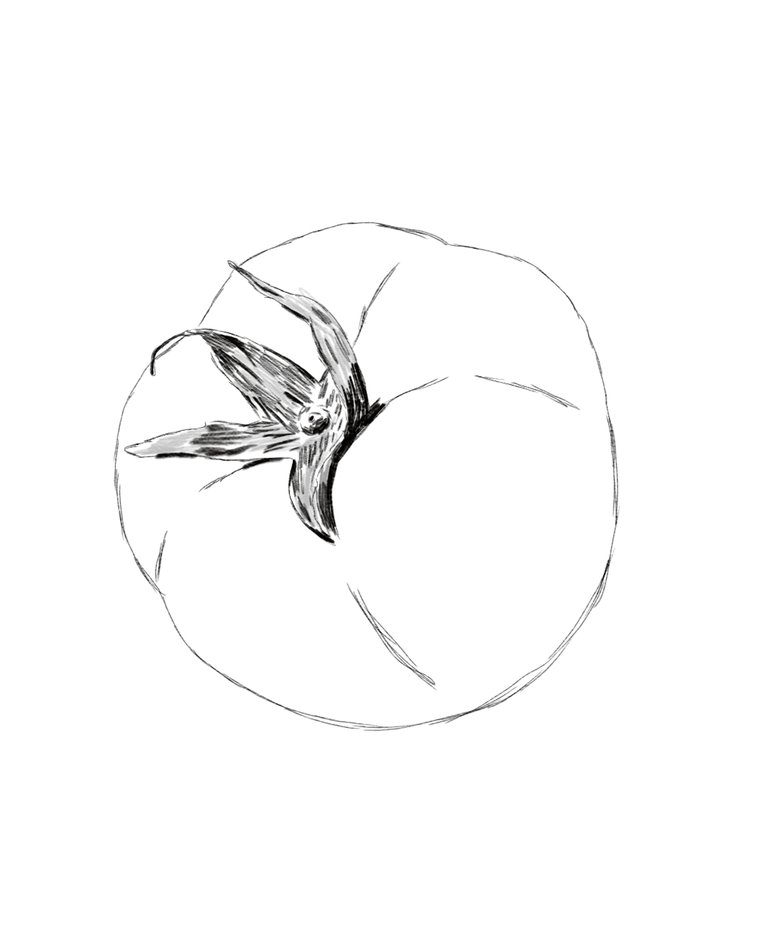 sketch1760356152006.jpeg