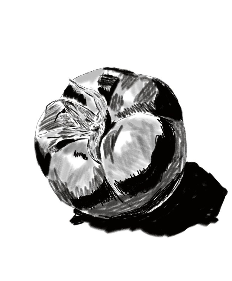 sketch1760356749498.jpeg