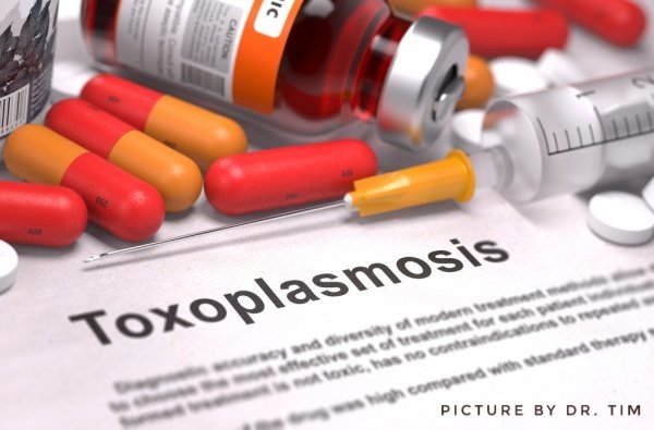 depositphotos_73973797-stock-photo-toxoplasmosis-diagnosis-medical-concept-01.jpeg