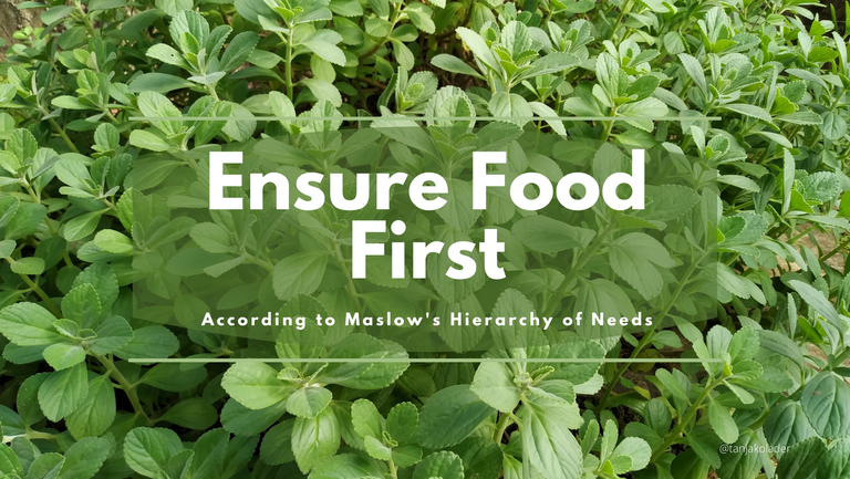 Ensure Food in Suriname 2021.png