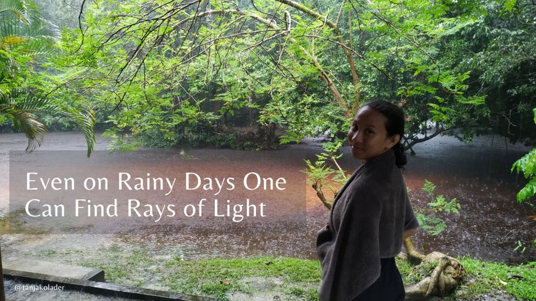 Rays of Sunlight on Rainy Days.png