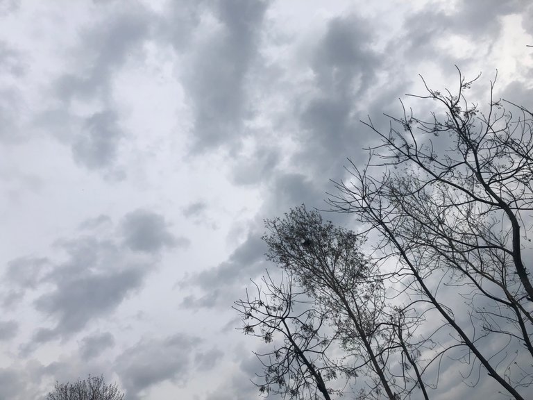IMG_0753.jpeg